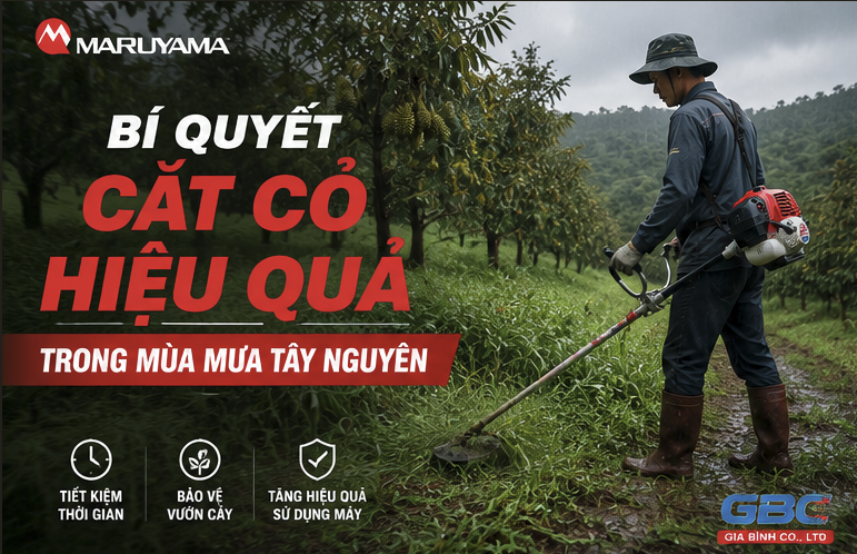 Bí Quyết Cắt Cỏ Hiệu Quả Trong Mùa Mưa Tây Nguyên