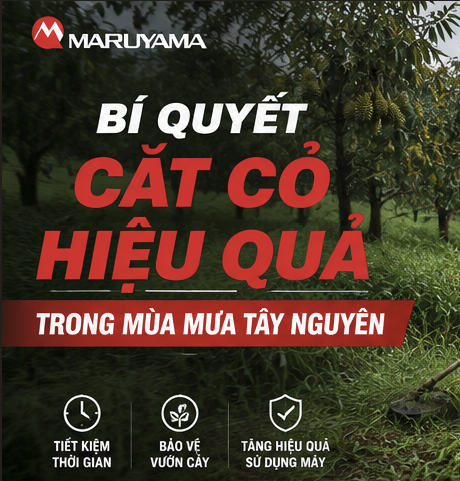 MÁY CẮT CỎ NÀO PHÙ HỢP CHO MÙA MƯA Ở TÂY NGUYÊN