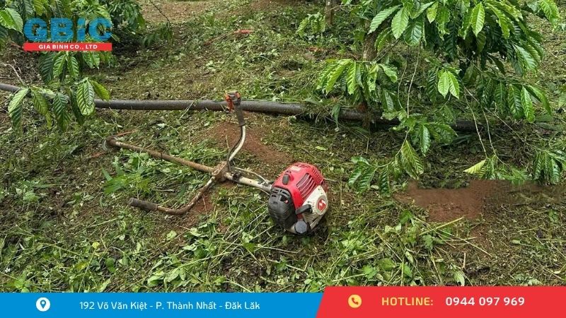 5 tiêu chí quan trọng khi chọn máy cắt cỏ cầm tay