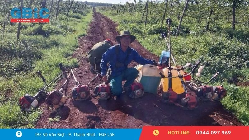 Máy Cắt Cỏ Cầm Tay Loại Nào Tốt? Kinh Nghiệm Chọn Máy Phù Hợp Từng Nhu Cầu